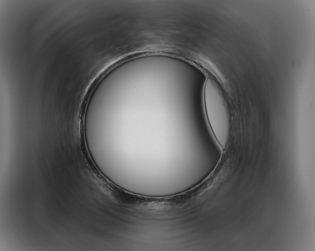 X0000088471268200705220933