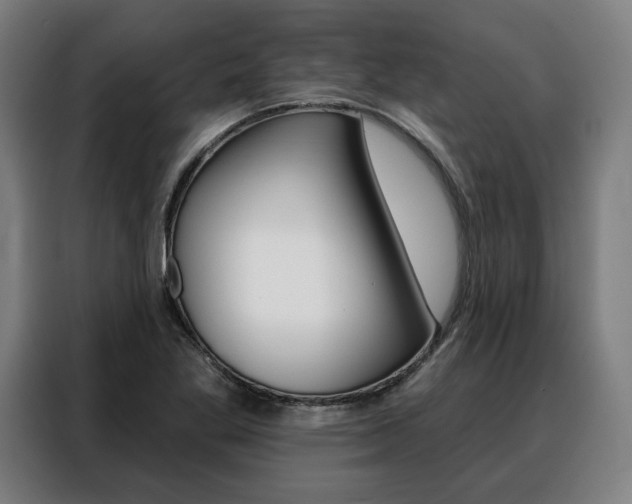 X0000088471269200705220933
