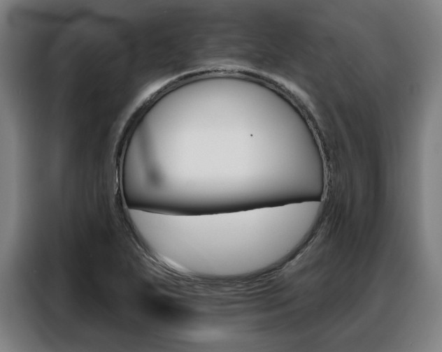X0000088471271200705220933