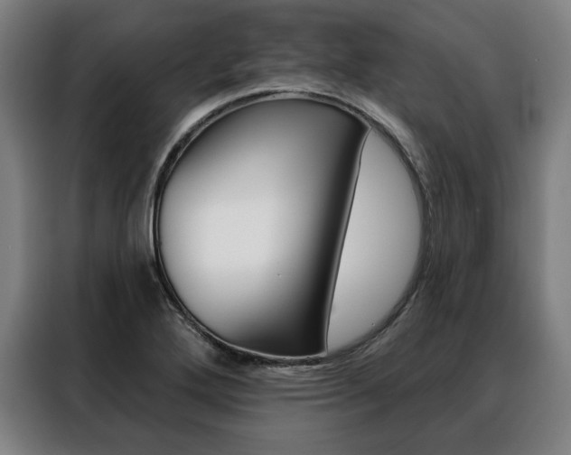 X0000088471272200705220933