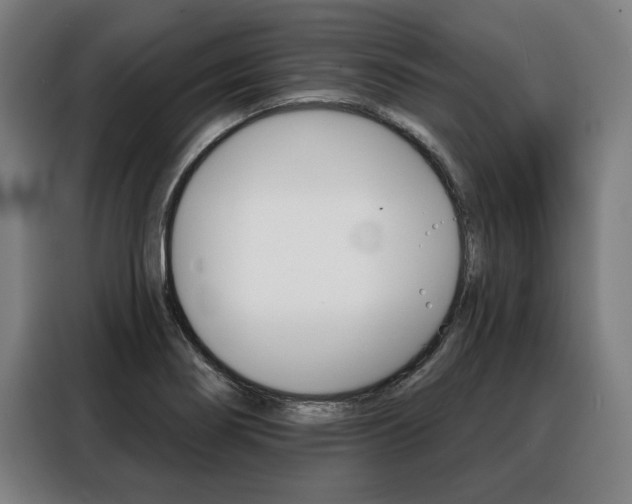 X0000088471274200705220933