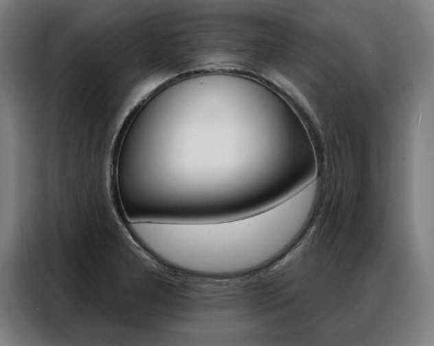 X0000088471277200705220933