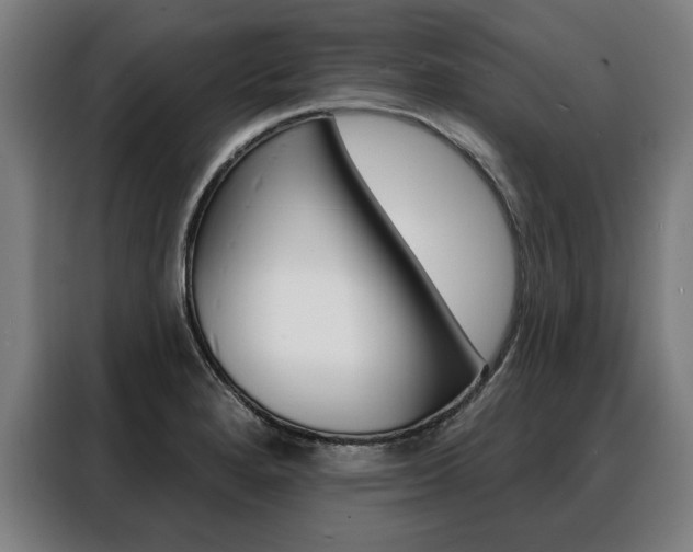 X0000088471280200705220933