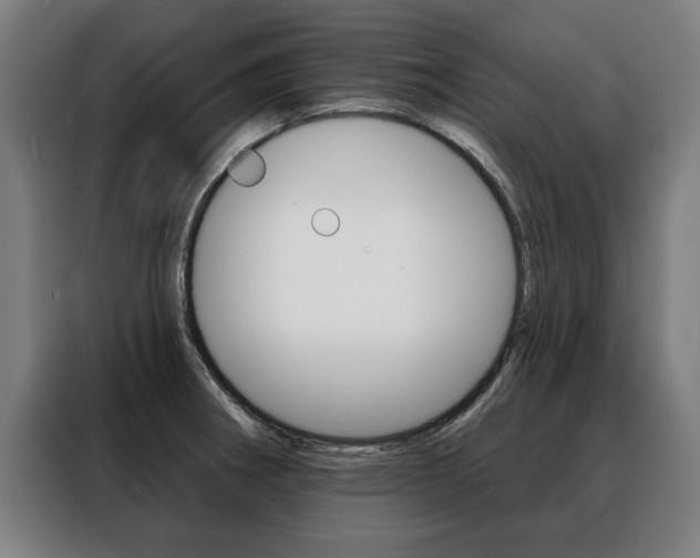 X0000088471282200705220933
