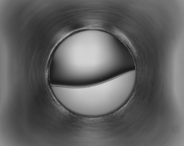 X0000088471284200705220933