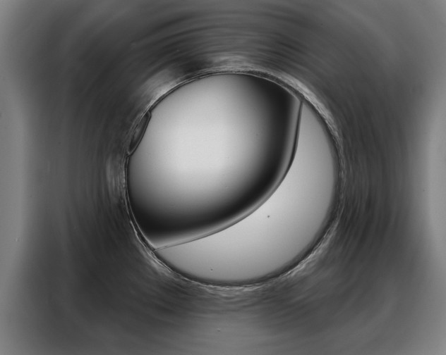 X0000088471289200705220932