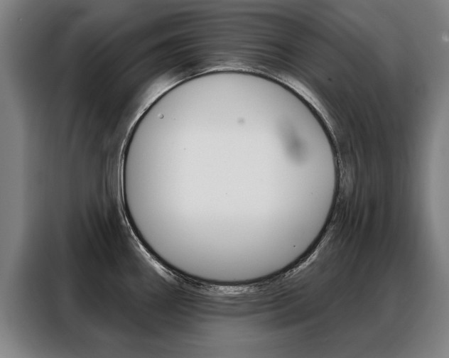 X0000088471290200705220932