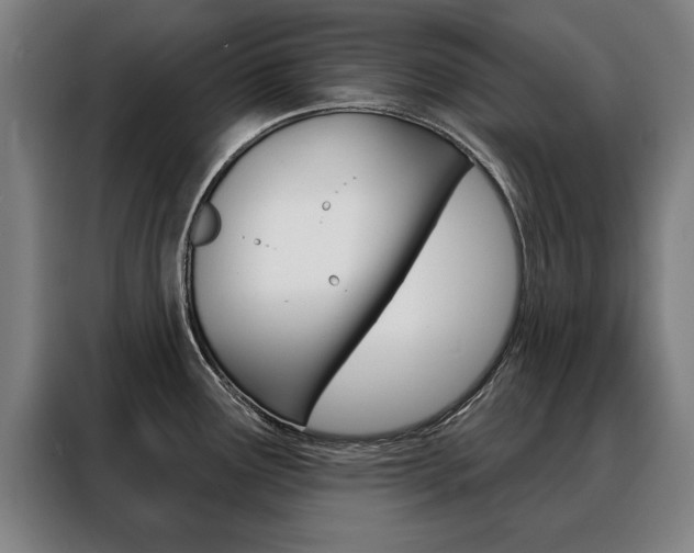 X0000088471291200705220932