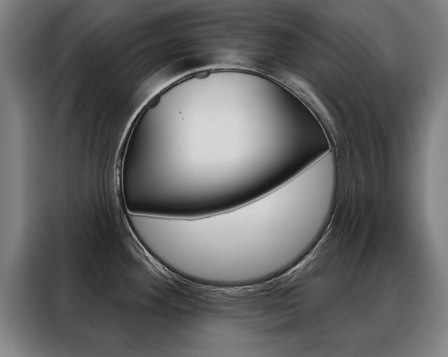 X0000088471292200705220932
