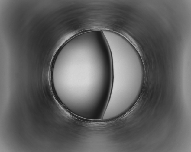 X0000088471293200705220932