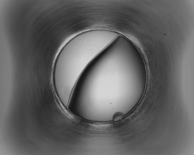 X0000088471296200705220932