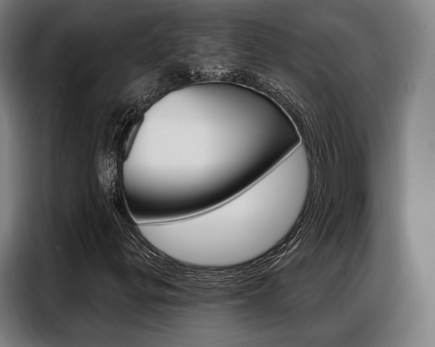 X0000088471299200705220932