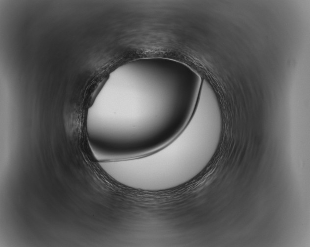 X0000088471300200705220932