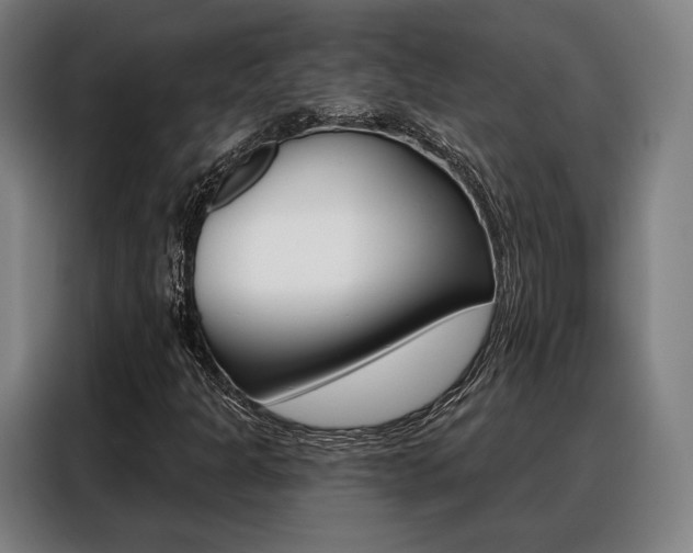 X0000088471301200705220932