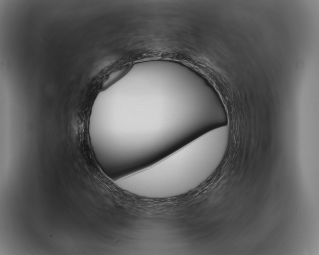 X0000088471302200705220932