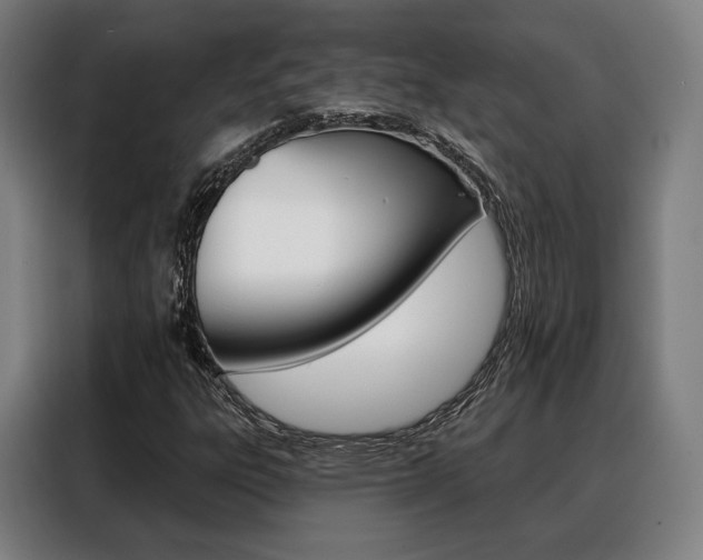 X0000088471303200705220932