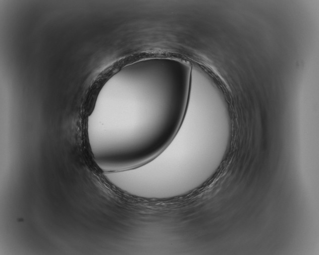 X0000088471304200705220932