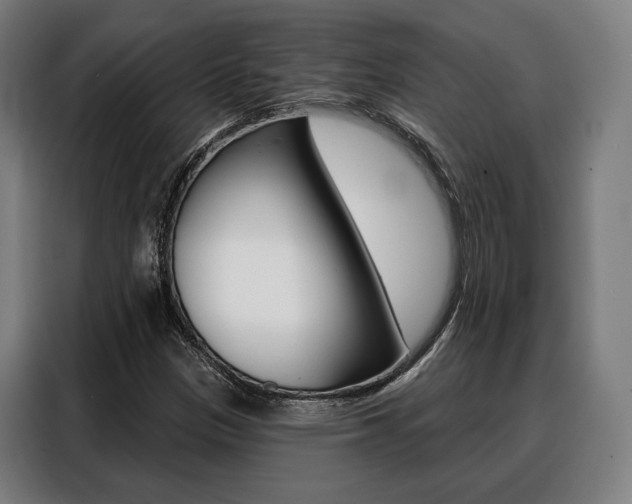X0000088471305200705220932
