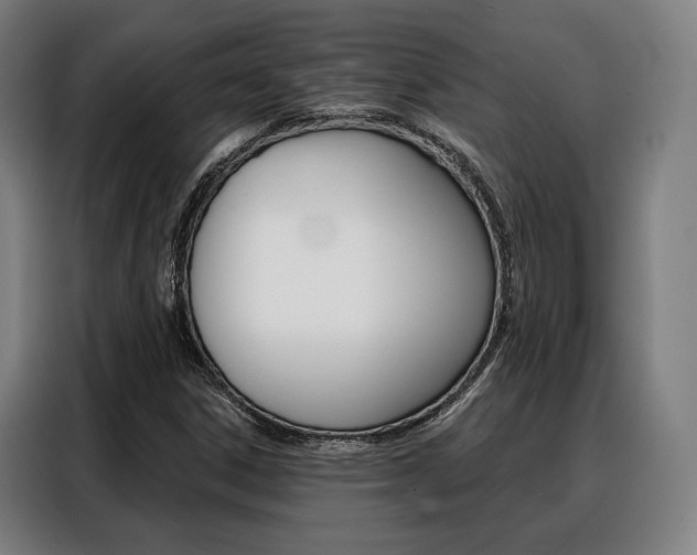 X0000088471306200705220932