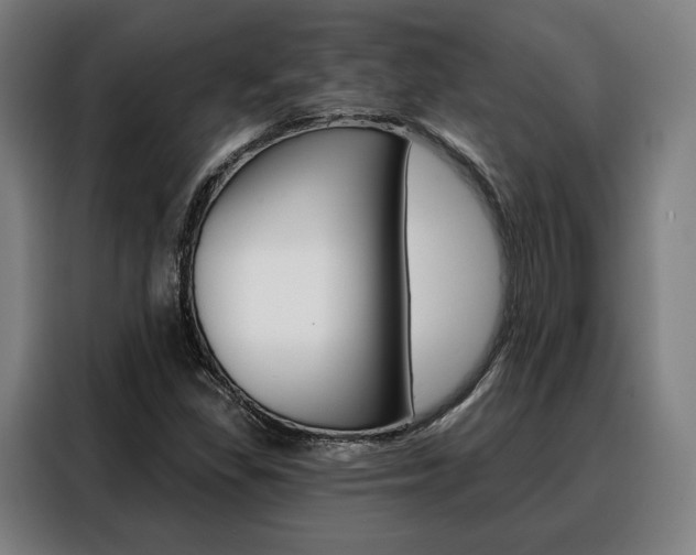 X0000088471309200705220932