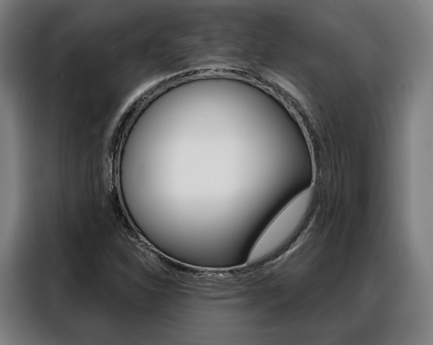 X0000088471310200705220932