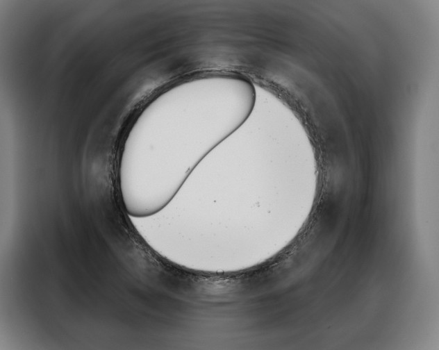 X0000088471314200705220932