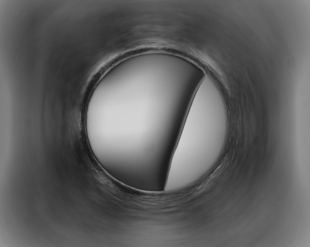 X0000088471318200705220932