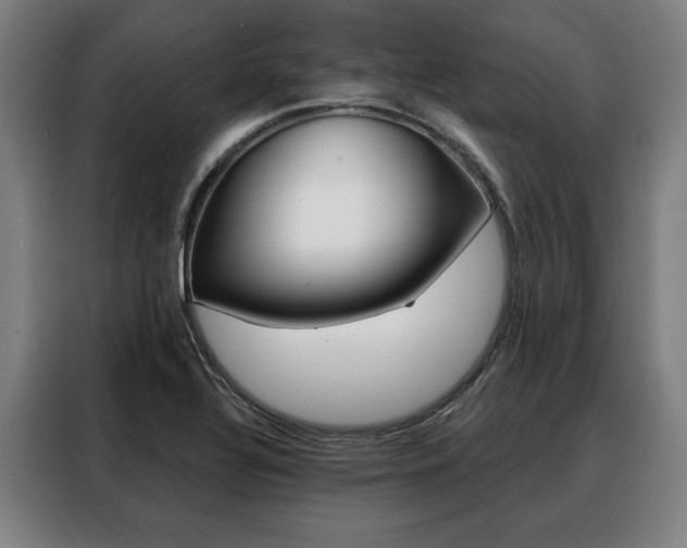 X0000088471320200705220932