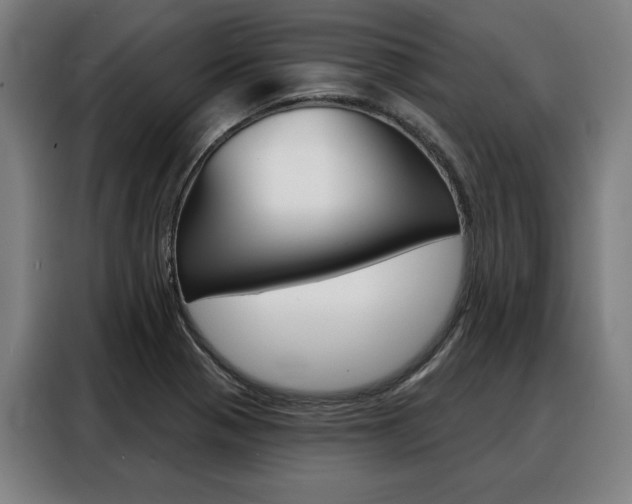 X0000088471321200705220932