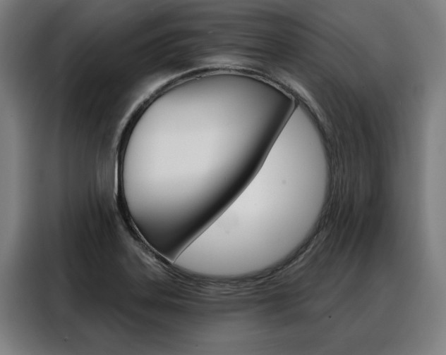 X0000088471323200705220932