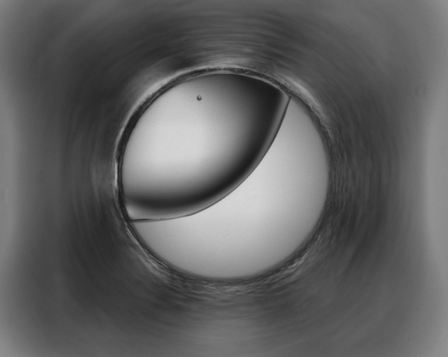 X0000088471324200705220932