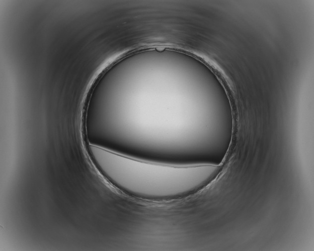 X0000088471333200705220932