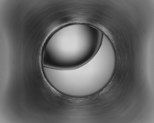 X0000088471334200705220932