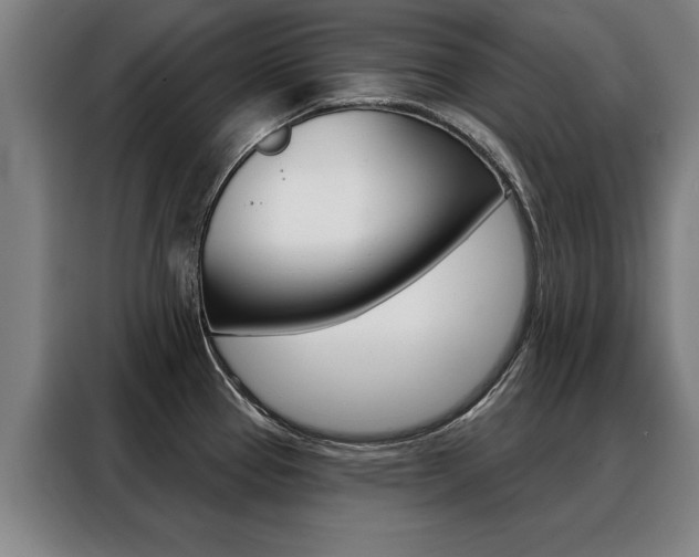 X0000088471337200705220932