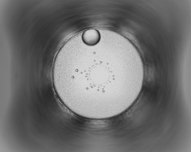 X0000088471338200705220932