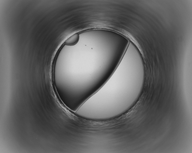 X0000088471339200705220932