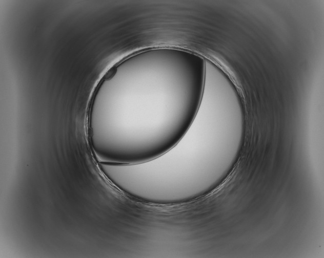 X0000088471340200705220932