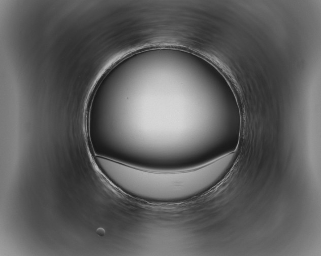 X0000088471342200705220932