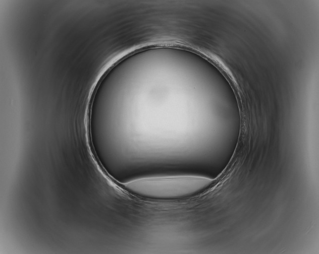 X0000088471343200705220932