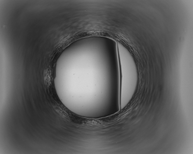 X0000088471348200705220932