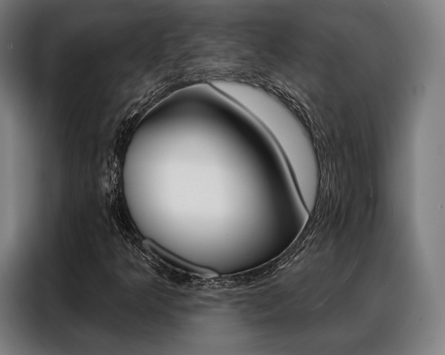 X0000088471349200705220932