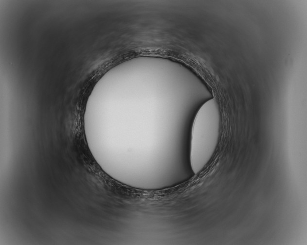 X0000088471350200705220932