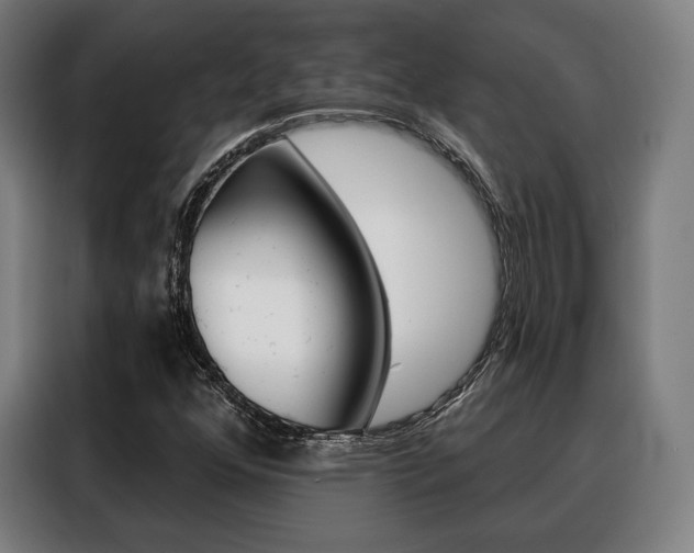 X0000088471352200705220932