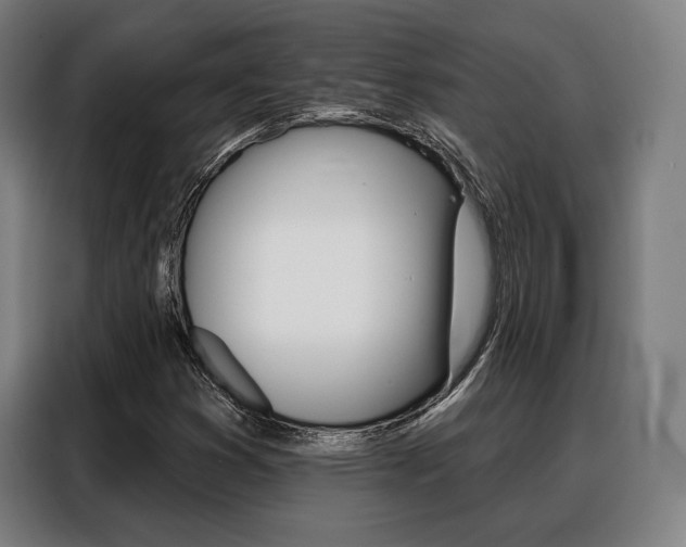 X0000088471353200705220932