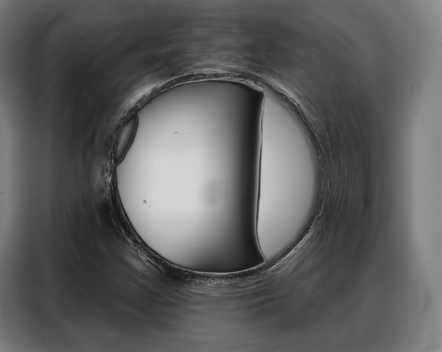 X0000088471355200705220932