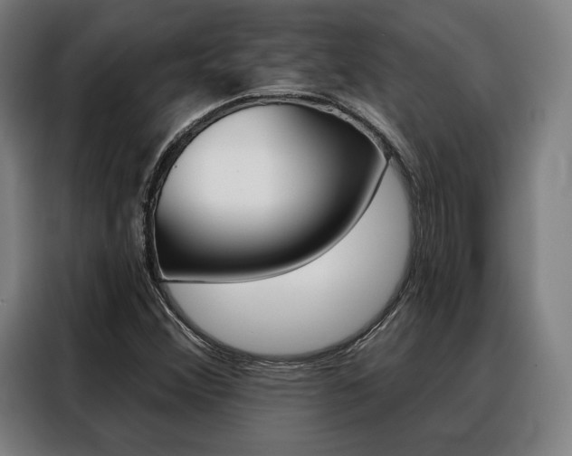 X0000088471356200705220932