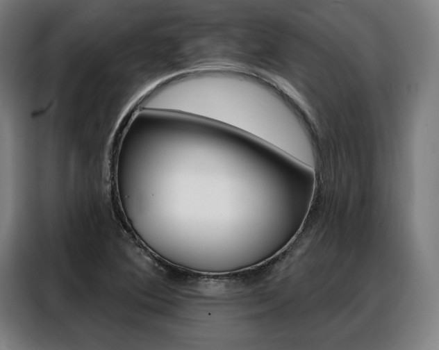 X0000088471364200705220931