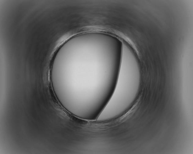 X0000088471365200705220931
