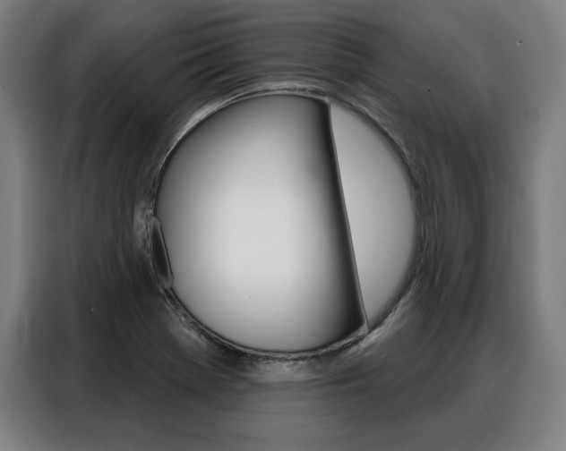 X0000088471369200705220931