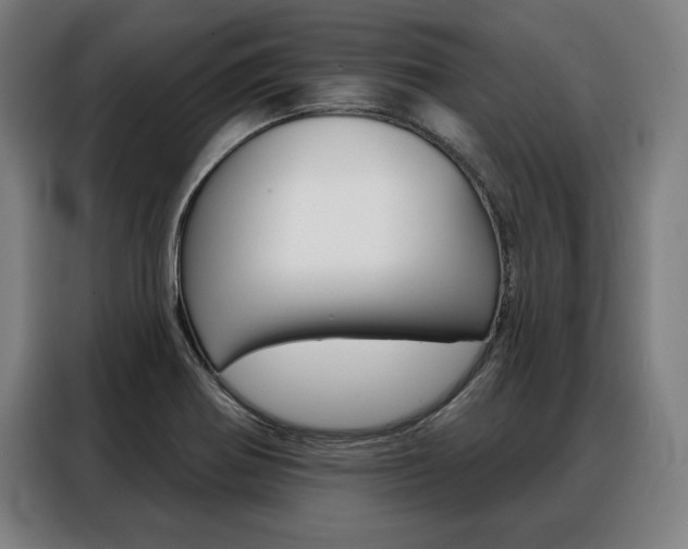 X0000088471370200705220931
